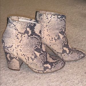 Steve Madden Snakeskin Booties